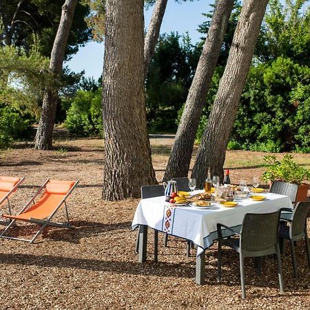 Masia Can Comas Sant Pere de Riudebitlles Экстерьер фото